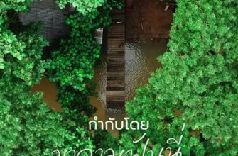 Санмин Динно (2024)